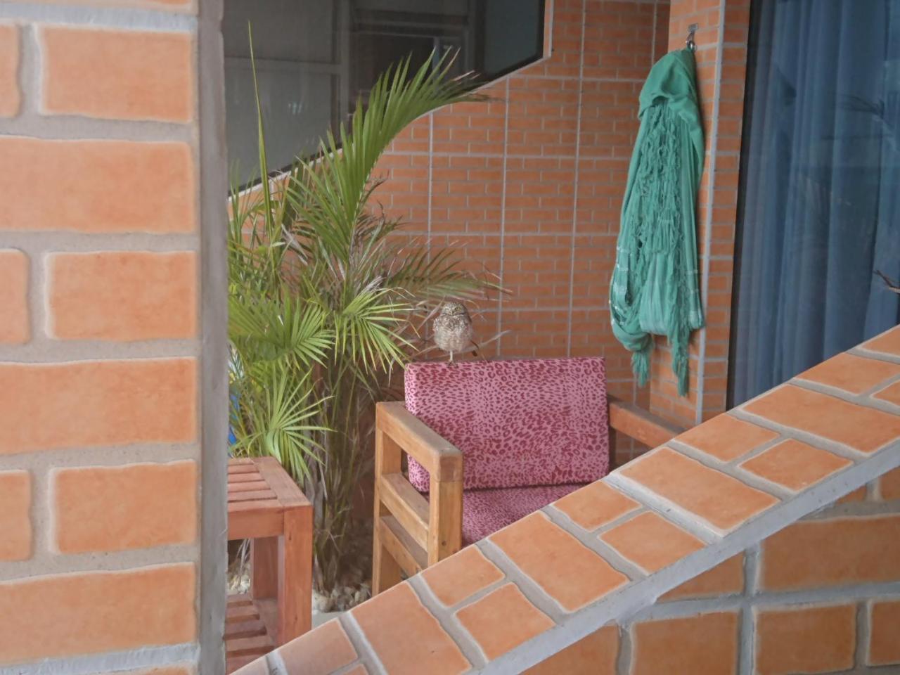 Pousada Suites Do Santinho Florianópolis Exteriér fotografie